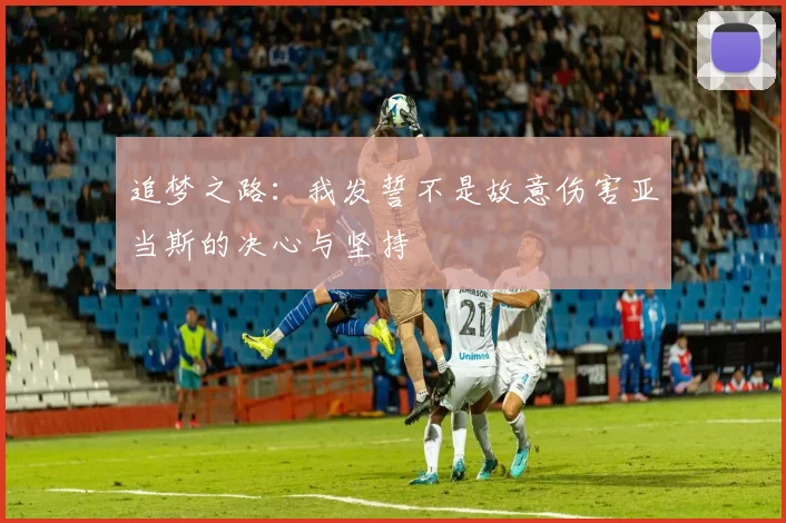 追梦之路：我发誓不是故意伤害亚当斯的决心与坚持